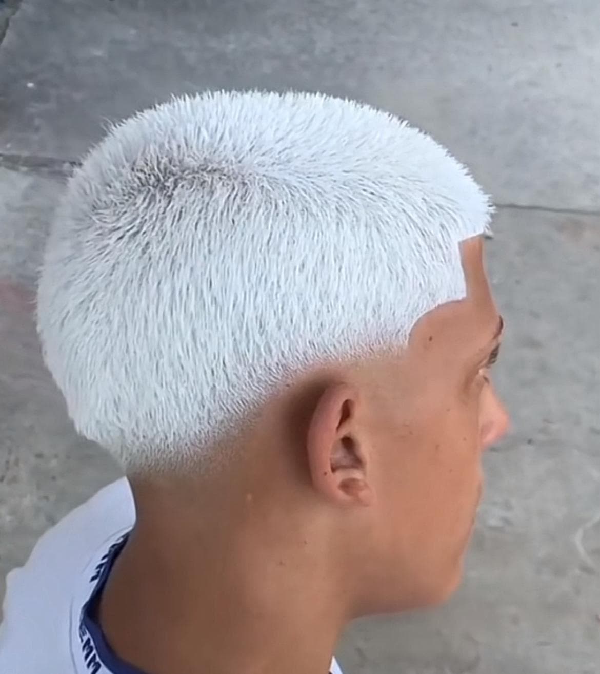 Nevou + Corte
